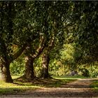 Spaziergang im Park