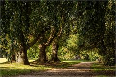 Spaziergang im Park