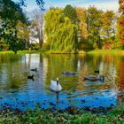 Spaziergang im Park