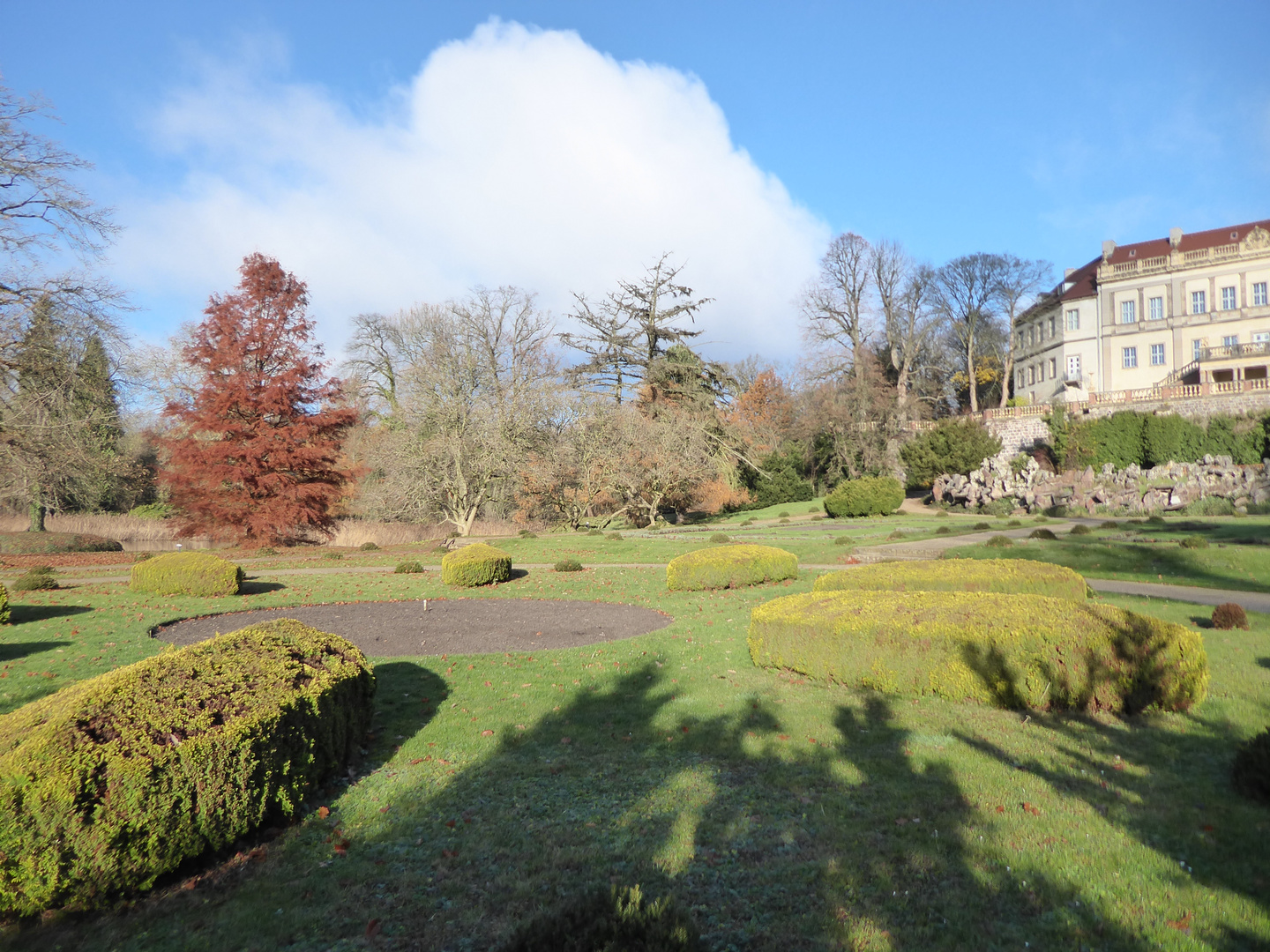 Spaziergang im Park