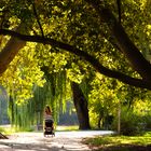 Spaziergang im Park