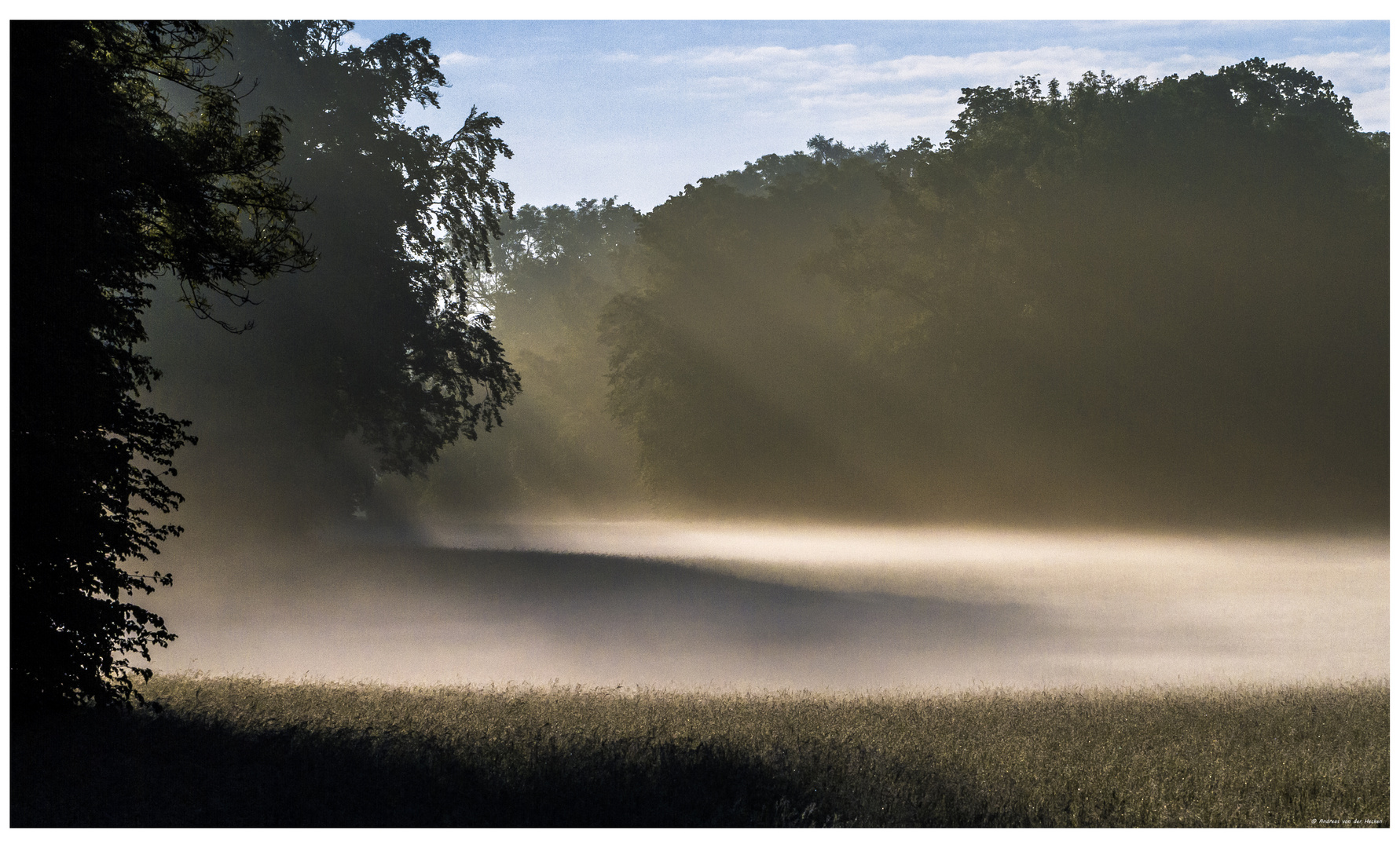 Spaziergang im Park