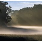 Spaziergang im Park