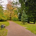 Spaziergang im Park in Kirchheimbolanden