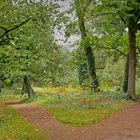 Spaziergang im Park in Kirchheimbolanden