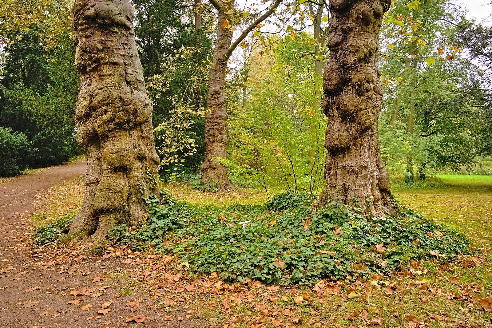 Spaziergang im Park in Kirchheimbolanden