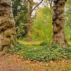 Spaziergang im Park in Kirchheimbolanden