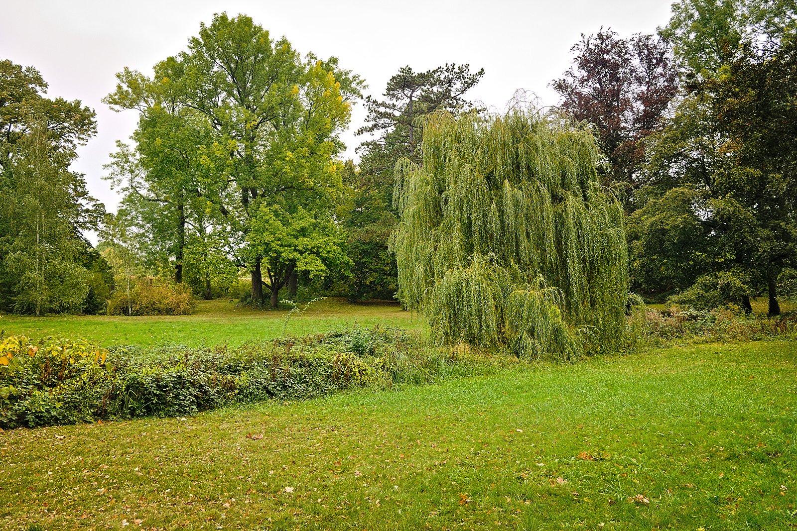 Spaziergang im Park in Kirchheimbolanden