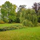 Spaziergang im Park in Kirchheimbolanden