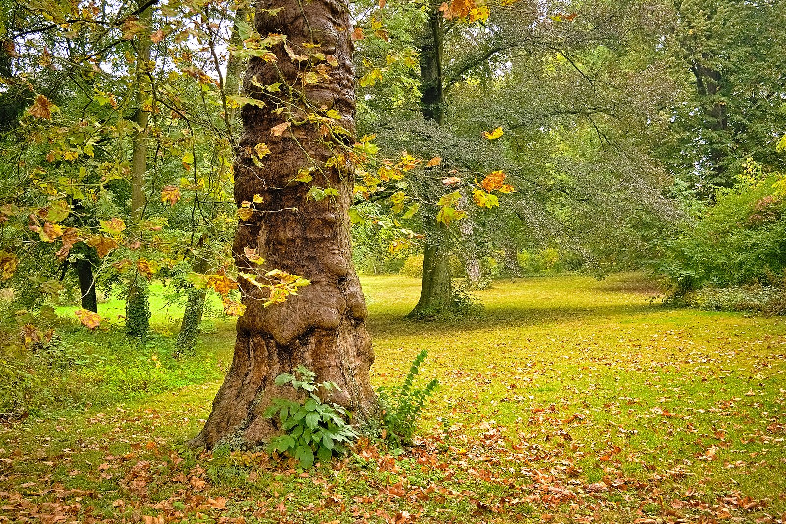 Spaziergang im Park in Kirchheimbolanden