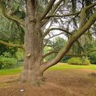 Spaziergang im Park in Kirchheimbolanden