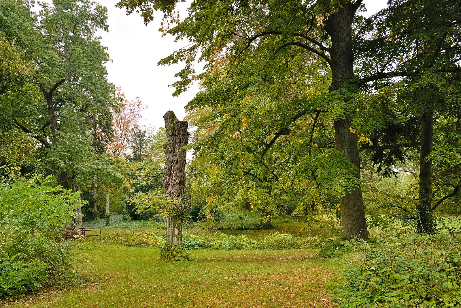 Spaziergang im Park in Kirchheimbolanden