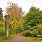 Spaziergang im Park in Kirchheimbolanden