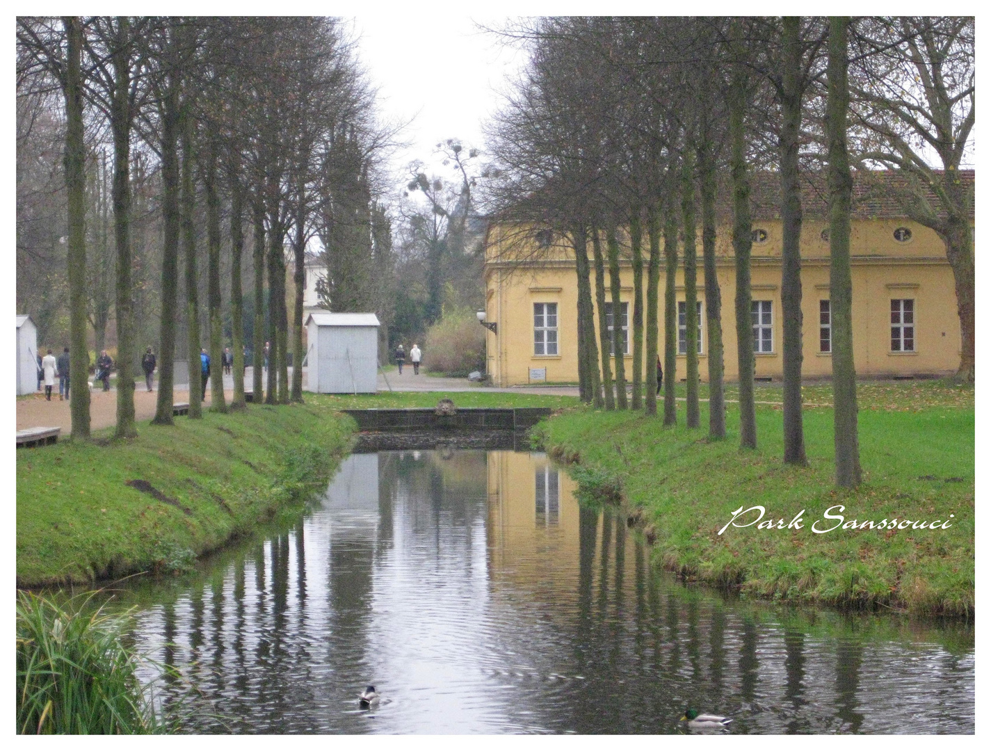 Spaziergang im Park Sanssouci II