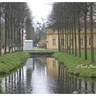 Spaziergang im Park Sanssouci II