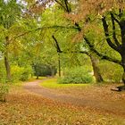 Spaziergang im Park von Kirchheimbolanden