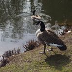 Spaziergang im Park_1