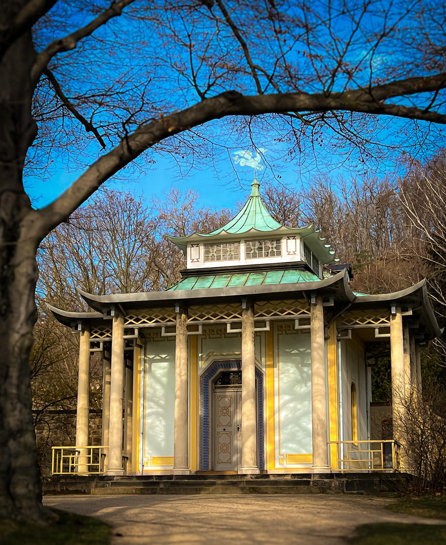 Spaziergang im Pillnitzer Park 