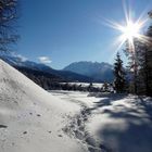 Spaziergang im Pulverschnee