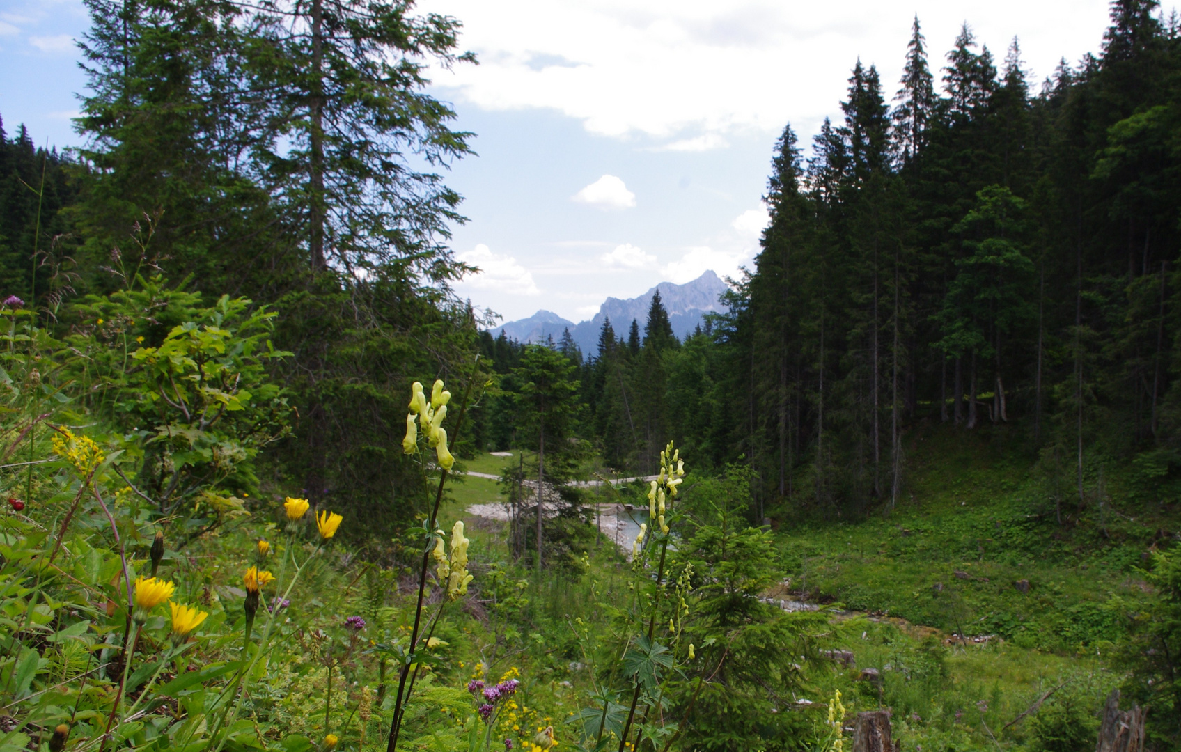 Spaziergang im Raintal/Österreich