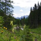 Spaziergang im Raintal/Österreich