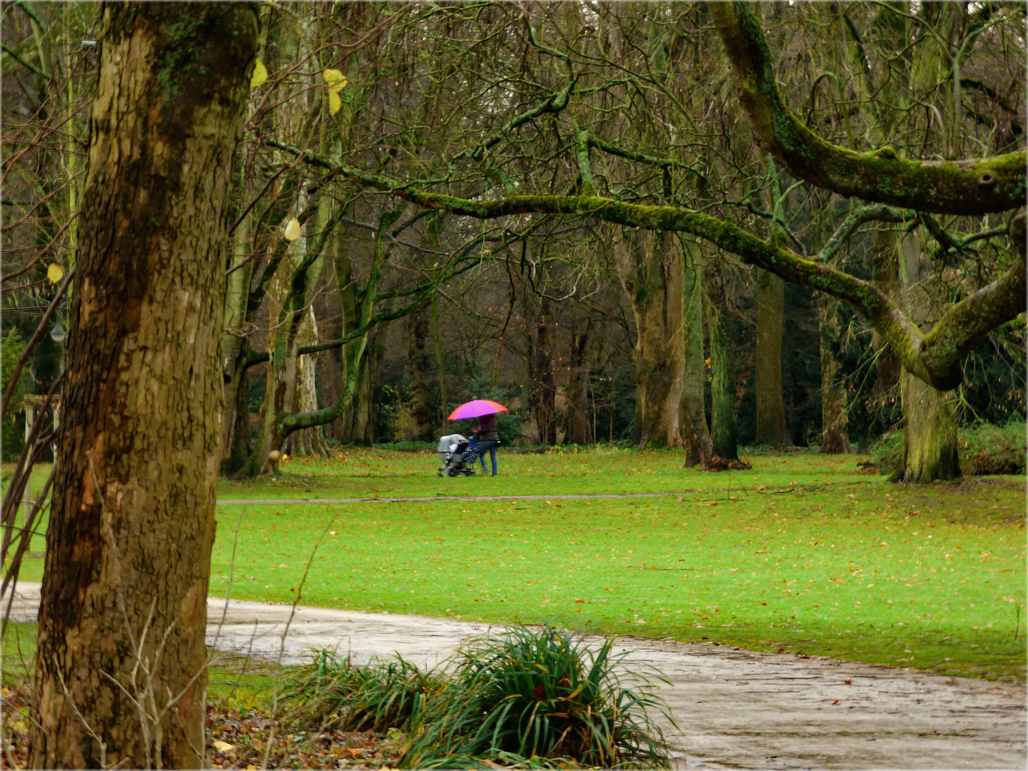 Spaziergang im Regen