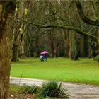 Spaziergang im Regen