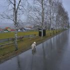 Spaziergang im Regen (caminar en la lluvia)