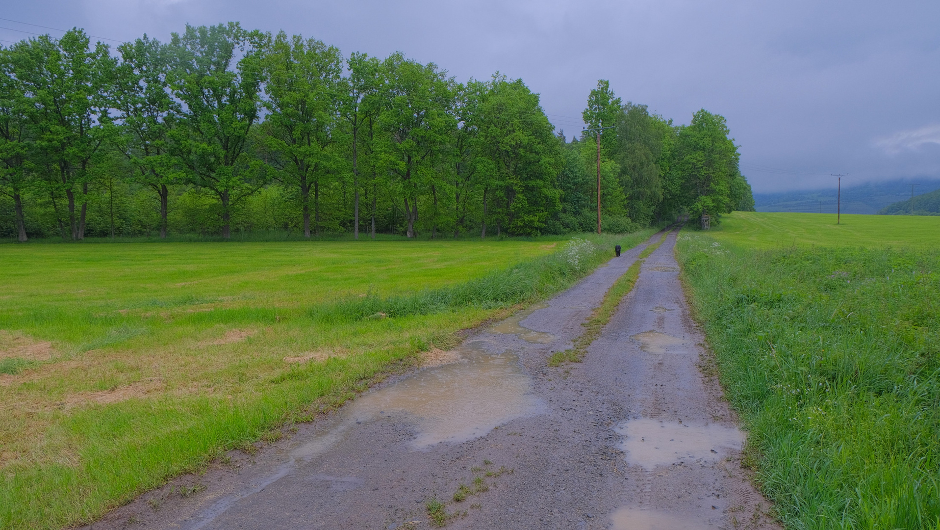 Spaziergang im Regen (caminar en la lluvia)