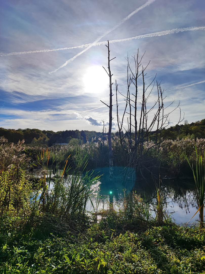 Spaziergang im Rosseltal