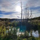 Spaziergang im Rosseltal