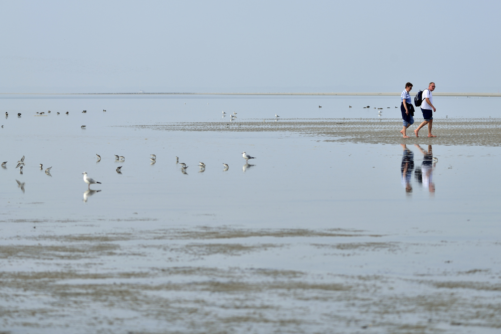 Spaziergang im Sandwatt