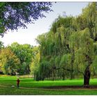 Spaziergang im Schlossgarten