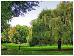 Spaziergang im Schlossgarten