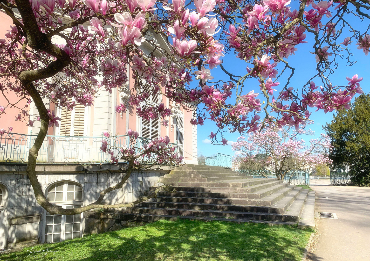 Spaziergang im Schlosspark