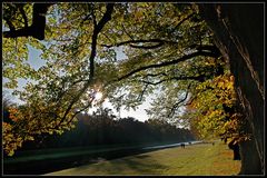 Spaziergang im Schloßpark Nymphenburg