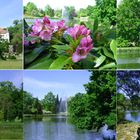 Spaziergang im Schlosspark Wiesenburg/Fläming