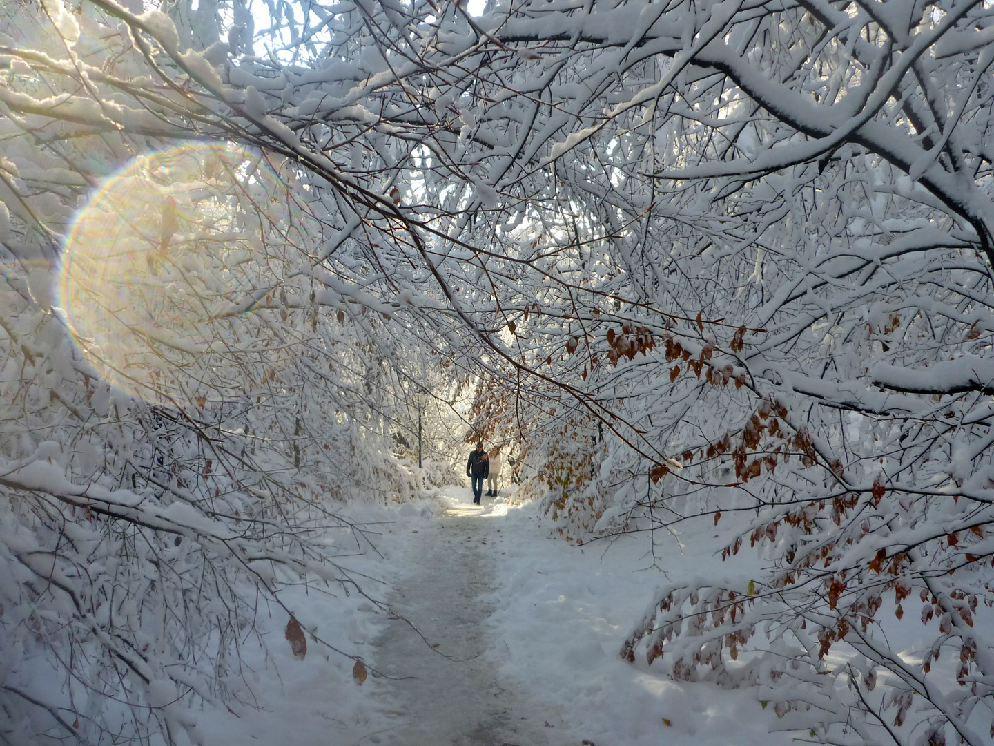 Spaziergang im Schnee