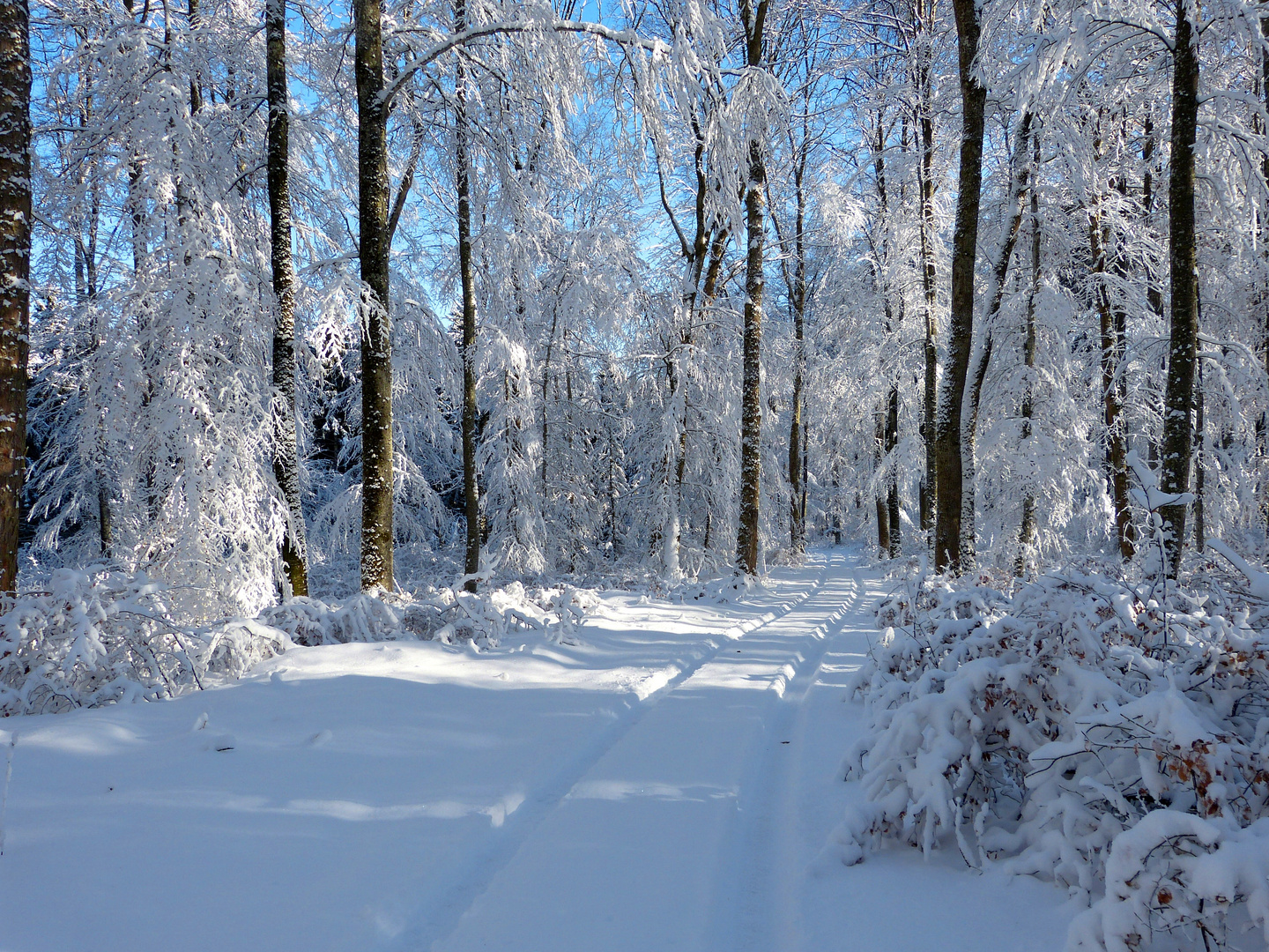 Spaziergang im Schnee...