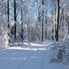 Spaziergang im Schnee...