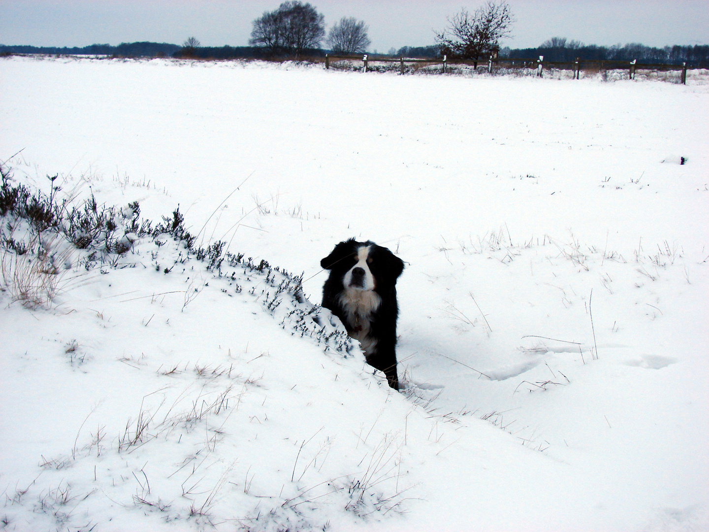 Spaziergang im Schnee...