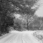 Spaziergang im Schnee