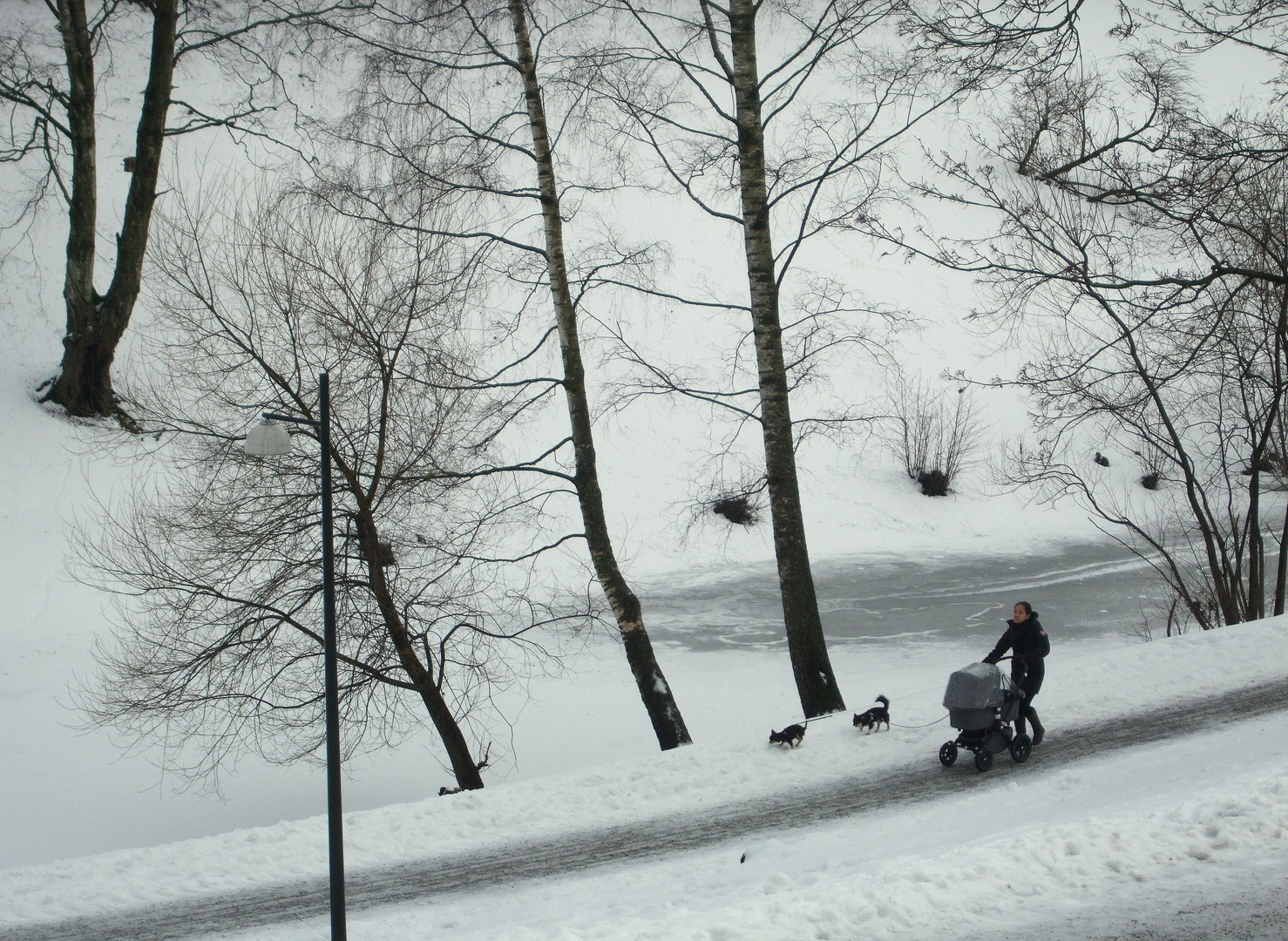 Spaziergang im Schnee