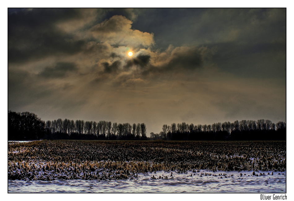 Spaziergang im Schnee