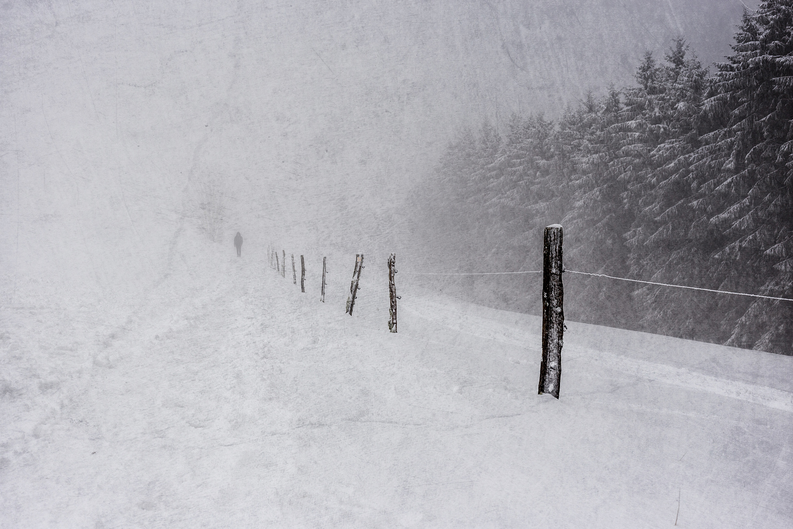 Spaziergang im Schnee