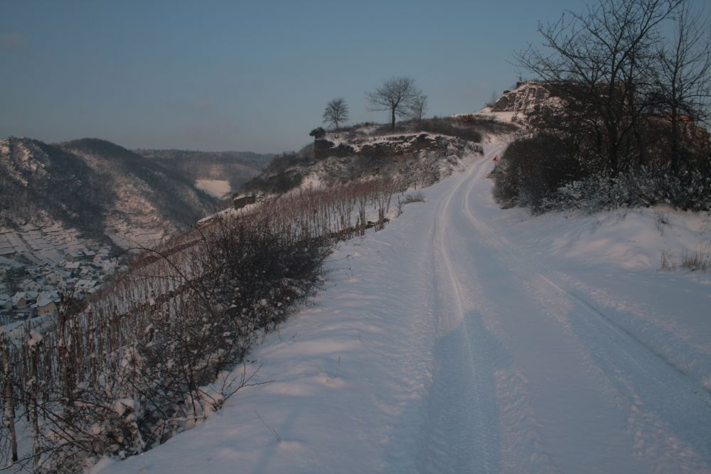 Spaziergang im Schnee