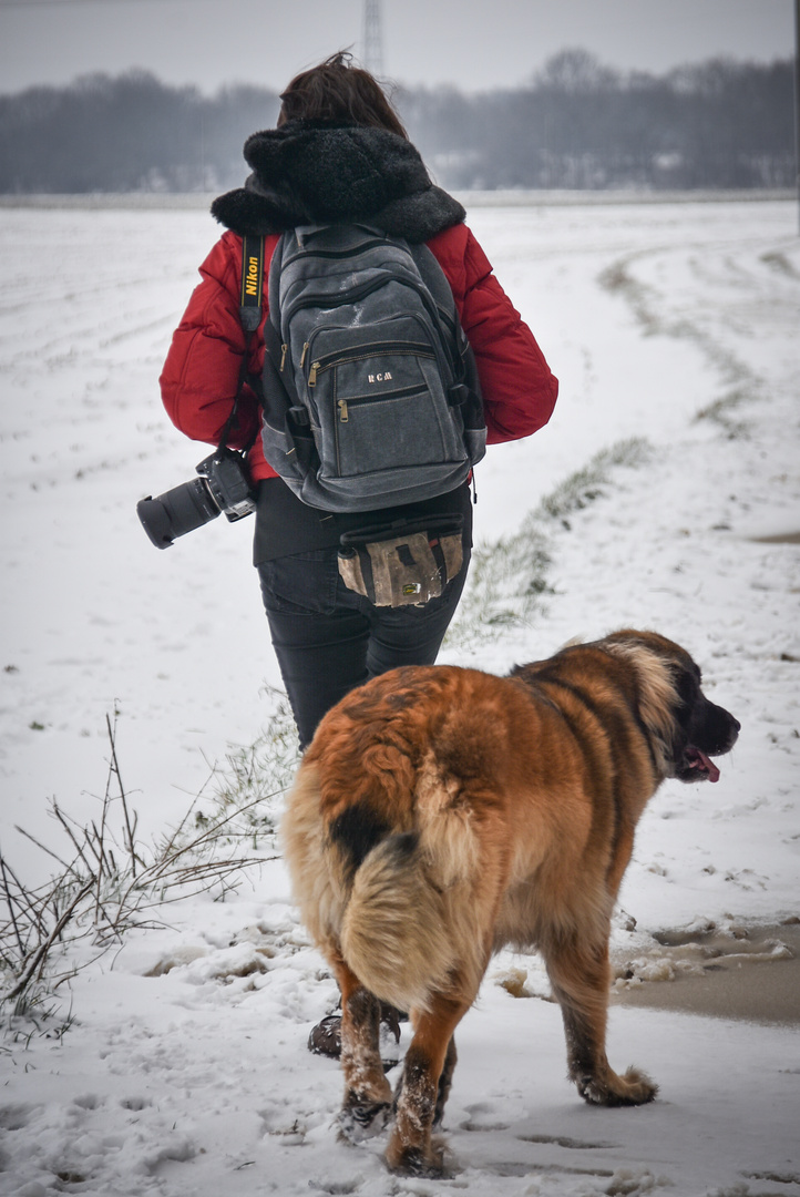 Spaziergang im Schnee