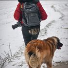 Spaziergang im Schnee