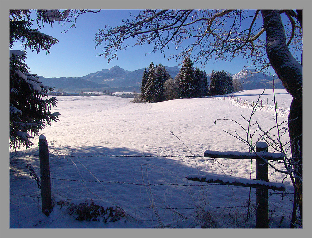 Spaziergang im Schnee