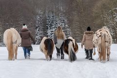 Spaziergang im Schnee